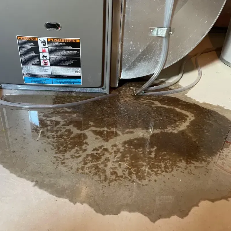 Appliance Leak Cleanup in Chicago Heights, IL